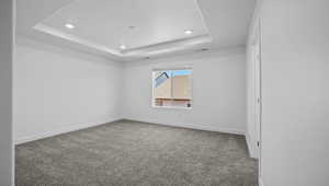 Unfurnished room with a raised ceiling and carpet floors