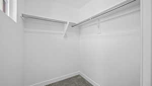 Walk in closet featuring carpet