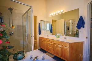 Primary bathroom featuring vanity, a shower with shower door, and toilet