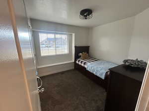 Bedroom with dark colored carpet