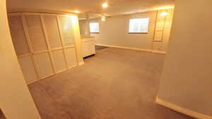 Basement featuring light colored carpet