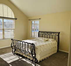 Large master bedroom  with vaulted ceiling