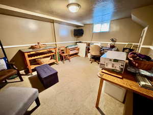 Carpeted office space with a textured ceiling