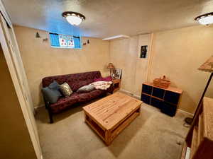 Carpeted living room featuring a textured ceiling