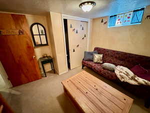 Living room featuring carpet flooring and a textured ceiling