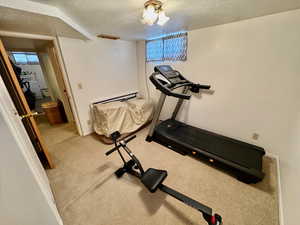 Exercise room with baseboard heating, carpet flooring, and a textured ceiling