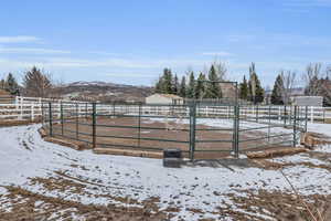 Paddock, training area