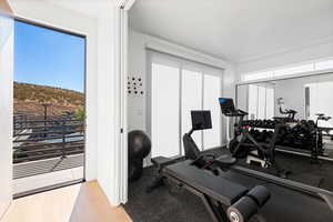 Workout area featuring a mountain view and light wood-type flooring