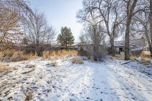 View of snowy yard