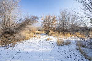 View of snowy view