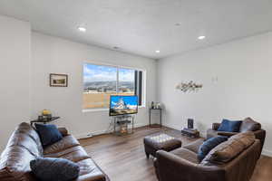 Living room featuring wood-type flooring and a textured ceiling