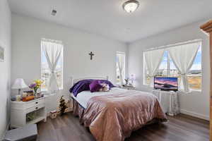 Bedroom featuring dark hardwood / wood-style flooring and a textured ceiling