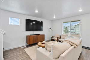 Living room featuring a wealth of natural light and light hardwood / wood-style flooring