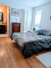 Bedroom featuring light hardwood / wood-style flooring, ensuite bath, and a closet