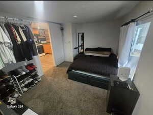 Bedroom with carpet floors