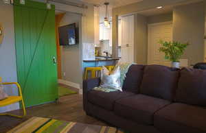 Living room featuring dark wood-type flooring and sink