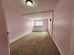 Carpeted spare room with a textured ceiling