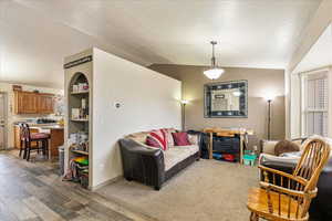 Living room featuring vaulted ceiling, dark hardwood / wood-style floors, and a textured ceiling