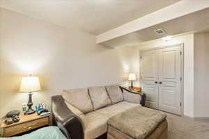 Living room featuring light carpet and a textured ceiling