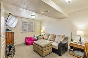 Carpeted living room featuring a textured ceiling