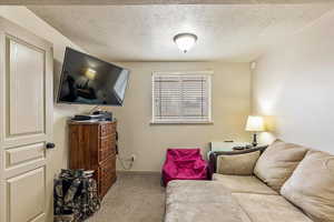 Living room with a textured ceiling and carpet