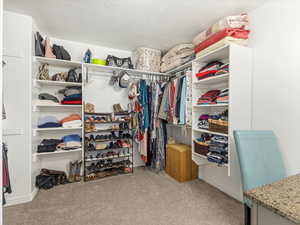 Walk in closet with light colored carpet