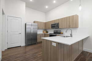 Kitchen with pendant lighting, tasteful backsplash, sink, dark hardwood / wood-style flooring, and stainless steel appliances