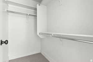 Spacious closet featuring carpet flooring