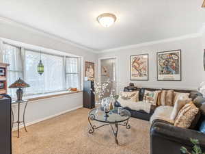 Carpeted living room with ornamental molding