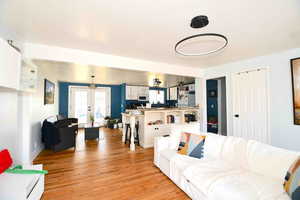 Living room featuring french doors and light wood-type flooring