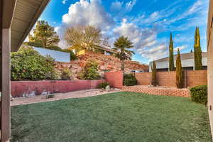 View of Backyard