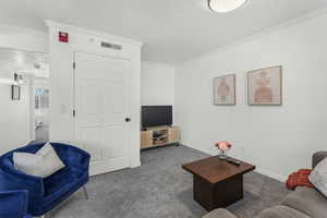 Living room with crown molding, carpet flooring, and a textured ceiling