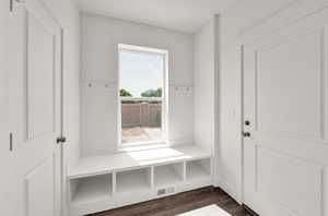 Mudroom featuring dark wood-type flooring