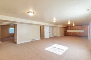 Basement with light colored carpet