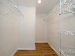 Owner's suite walk-in-closet