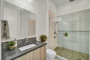 Bathroom featuring a shower with door, vanity, and toilet