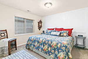 Basement Bedroom featuring carpet