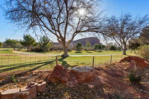 View of yard with a rural view and a mountain view