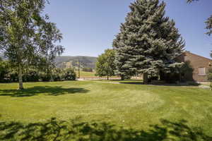 View of yard with a mountain view