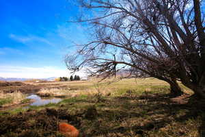 View of landscape with a water view and a rural view