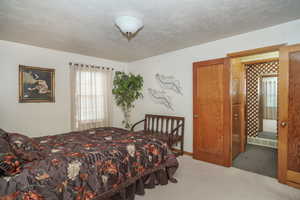 Carpeted bedroom with a textured ceiling