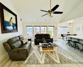 Living room featuring lofted ceiling, a wealth of natural light, and light wood-type flooring