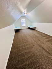 Bonus room featuring lofted ceiling, carpet floors, and a textured ceiling