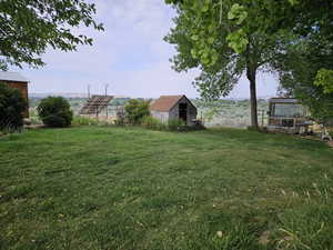 View of yard featuring an out buildings.