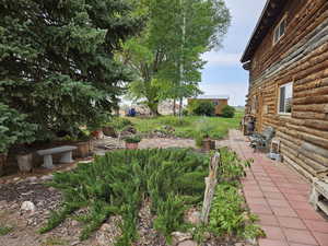 View of yard featuring bricked patio area