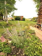 Side yard full of perineal plants