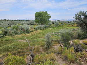 View of local landscape, unchanged and beautiful