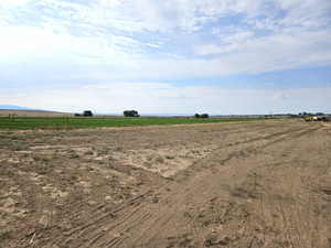 Farm land is rotated to maintain health of the land.