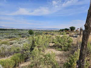 Exterior space with a mountain view, natural vegetation and wildlife.