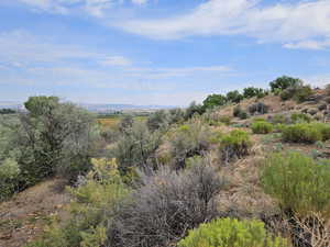 View of local landscape, unchanged and beautiful